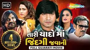 તારી યાદો માં જિંદગી જવાની ફિલ્મ (૨૦૨૧)