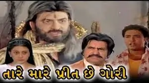 તારે મારે પ્રીત છે ગોરી ફિલ્મ (2008)
